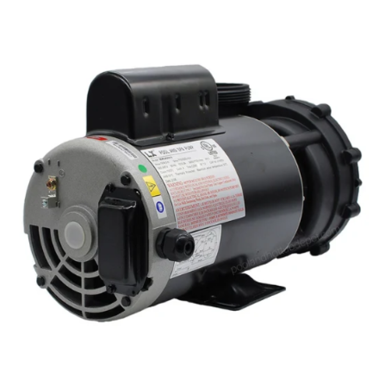 Pompe pour spa LX 4,0 CV, châssis 56, 2 vitesses, 230 volts 3
